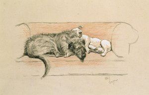 Lobero irlandés y bull terrier durmiendo en un sofá de Cecil Charles Windsor Aldin