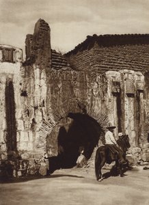 Mexico: Oaxaca, Tuberia espanola (b/w photo) de Cecile Seler Sachs