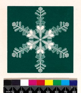 Cristales de nieve de Cecilia Glaisher
