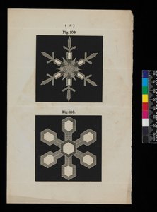 Cristales de nieve de Cecilia Glaisher