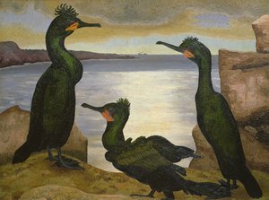 Cormoranes