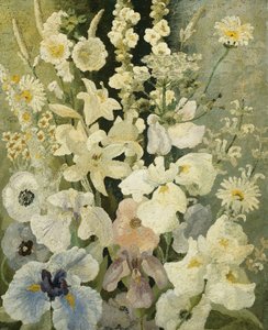 Flores blancas