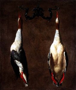 Dos patos salvajes colgando