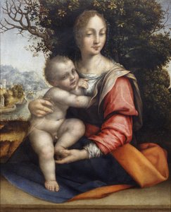 Madonna y Niño (Nuestra Señora del Árbol) de Cesare da Sesto