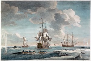 Pesquería de Groenlandia, grabado por John Boydell (1719-1804) 1754 (grabado en color) de Charles (after) Brooking