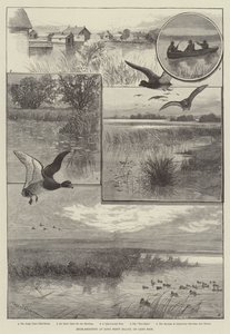 Caza de patos en Long Point Island, en el lago Erie (grabado)
