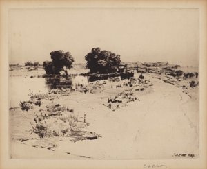 Sauces de Cape Ann de Charles A. Platt