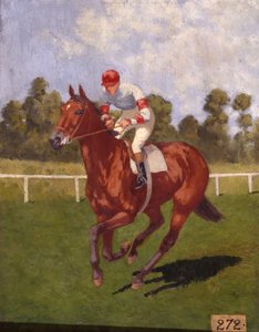Caballo de carreras