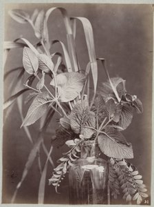 Estudio de flores con botella de cristal. de Charles Aubry (manner of)