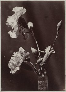 Estudio de flores con jarrón de cristal. de Charles Aubry (manner of)