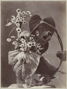 Estudio de flores con jarrones de cristal. de Charles Aubry (manner of)