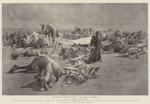 El avance hacia Dongola, ¡Alto! ¿Quién va allí?