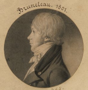 Bruneleau de Charles Balthazar Julien Févret de Saint-Mémin
