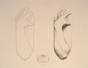 Brazo doblado de una mujer, lámina 22 de Cours de Dessin Volumen I, Modelos según la escultura, c.1868 de Charles Bargue