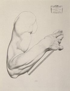 Impresión en papel gris, 1868 de Charles Bargue