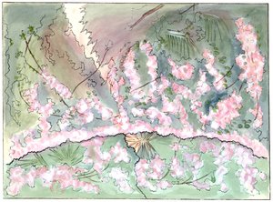 Massenet - Esclarmonde - Decorado de Charles Bianchini - Acto 2, escena 1, Cortina rosa descendiendo - dibujo de G. Stein, 1889 (c) de Charles Bianchini