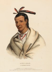 A-MIS-QUAM, UN VALIENTE WINNEBAGO., de Historia de las Tribus Indias de Norteamérica de Charles Bird King