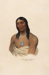  de Charles Bird King