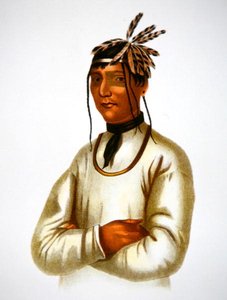Caatousee de la Tribu Chippewa de Charles Bird King