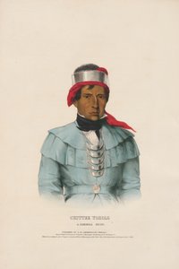  de Charles Bird King