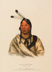 ESH-TA-HUM-LEAH. UN JEFE SIOUX, de la Historia de las Tribus Indias de Norteamérica de Charles Bird King
