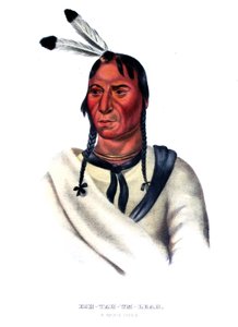 Eshtahumbah (Ojos Dormidos), un jefe Sioux de Charles Bird King