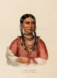 HAYNE-HUDJIHINI. THE EAGLE OF DELIGHT, de History of the Indian Tribes of North America. de Charles Bird King