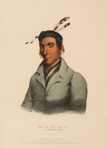 KA-TA-WA-BE-DA. A CHIPPEWAY CHIEF., de History of the Indian Tribes of North America