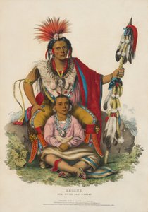  de Charles Bird King