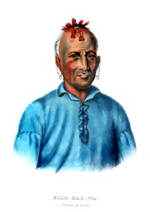 Kishkalwa, un jefe Shawnee de Charles Bird King