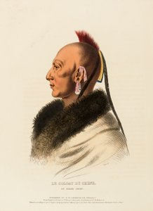 LE SOLDAT DU CHENE, UN JEFE OSAGE, de Historia de las Tribus Indias de Norteamérica de Charles Bird King