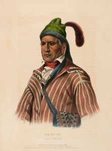 ME-NA-WA. A CREEK WARRIOR, de History of the Indian Tribes of North America. de Charles Bird King