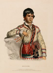 MISTIPPEE., de Historia de las Tribus Indias de Norteamérica de Charles Bird King