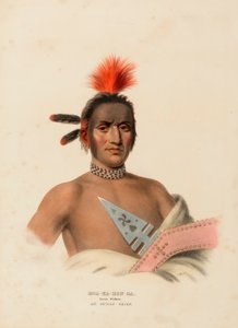 MOA-NA-HON-GA. GRAN CAMINANTE. AN IOWAY CHIEF, de History of the Indian Tribes of North America de Charles Bird King