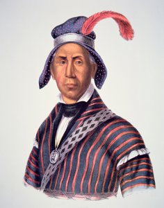 Lobo Loco 1825