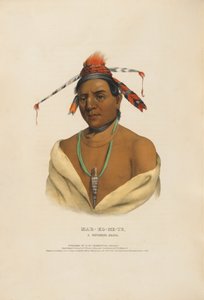  de Charles Bird King