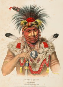 NE-SOU-A-QUOIT. A FOX CHIEF., de History of the Indian Tribes of North America de Charles Bird King
