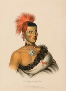 PES-KE-LE-CHA-CO, JEFE PAWNEE, de Historia de las Tribus Indias de Norteamérica de Charles Bird King