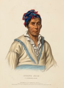 SPRING FROG. A CHEROKEE CHIEF, de History of the Indian Tribes of North America de Charles Bird King