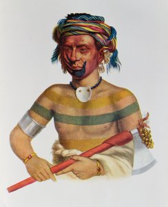 Shau-Hau-Napo-Tinia, un Jefe Iowa, 1837, ilustración de 