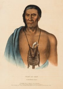 TISH-CO-HAN. A DELAWARE CHIEF, de History of the Indian Tribes of North America de Charles Bird King
