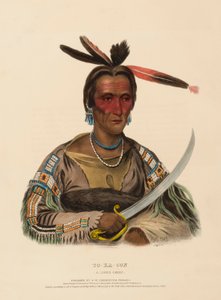 TO-KA-CON. A SIOUX CHIEF, de History of the Indian Tribes of North America de Charles Bird King