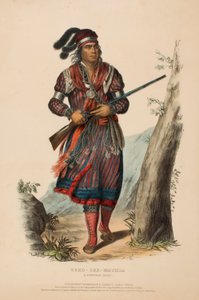 TUKO-SEE-MATHLA. A SEMINOLE CHIEF., de History of the Indian Tribes of North America de Charles Bird King
