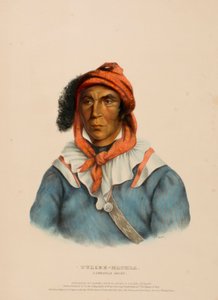 TULCEE-MATHLA. A SEMINOLE CHIEF, de History of the Indian Tribesof North America de Charles Bird King