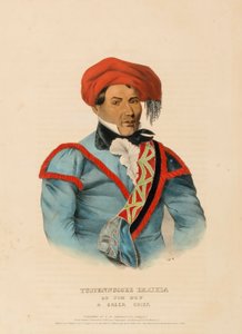 TUSTENNUGGEE EMATHLA, de Historia de las Tribus Indias de Norteamérica de Charles Bird King