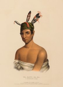 WA-KAWN-HA-KA, UN JEFE WINNEBAGO, de Historia de las Tribus Indias de Norteamérica de Charles Bird King