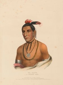 WA-KAWN, UN JEFE WINNEBAGO, de Historia de las Tribus Indias de Norteamérica de Charles Bird King