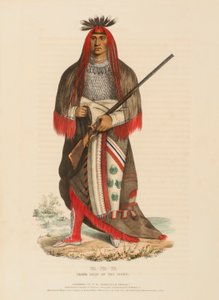 WA-NA-TA. GRAN JEFE DE LOS SIOUX, de Historia de las Tribus Indias de Norteamérica de Charles Bird King