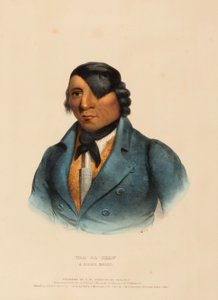 WAA-PA-SHAW. A SIOUX CHIEF, de History of the Indian Tribes of North America de Charles Bird King