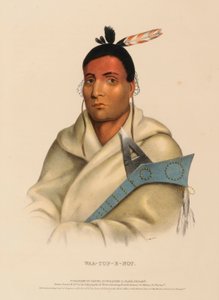 WAA-TOP-E-NOT., de Historia de las Tribus Indias de Norteamérica de Charles Bird King